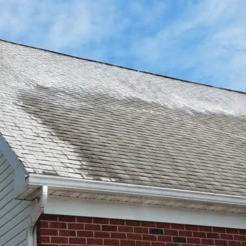Roof Cleaning Bellevue WA